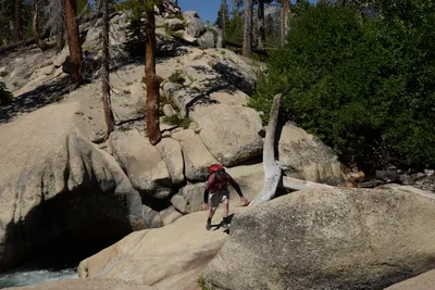 DSC_3813 (Large).JPG